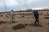 В детском лагере под Саратовом посадили липы и березы