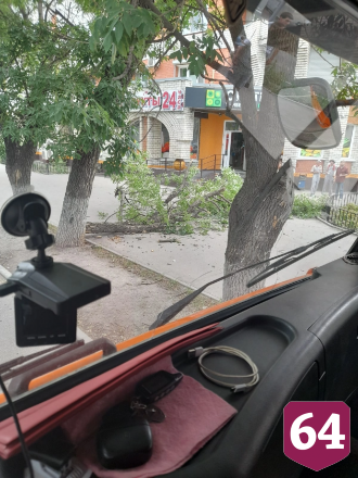 В Саратове пешеходы едва успели отбежать от упавшей ветки 