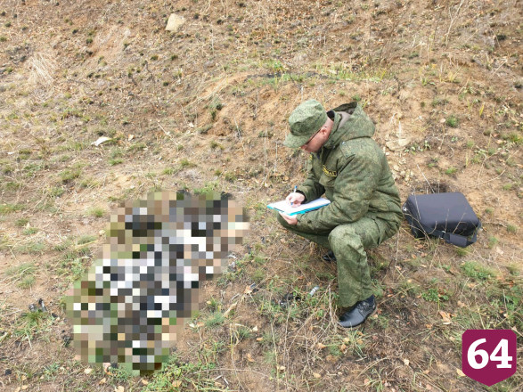 Грибники нашли кости пропавшей без вести пенсионерки