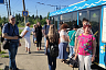 Саратовцам покажут город из окна троллейбуса 