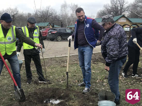 В Саратове губернатор посадил березы на Кумысной поляне