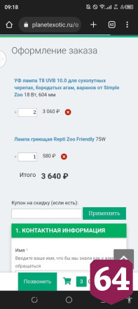 В Саратове сделают бассейн для брошенных черепах 