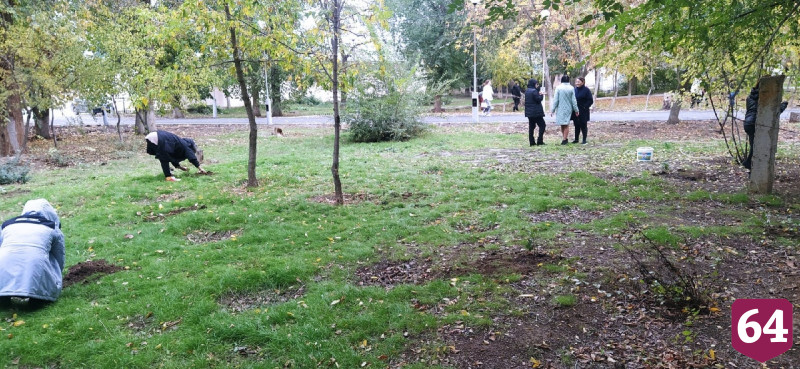 Священник создал у храма лесопитомник и раздает по Заволжью дубы