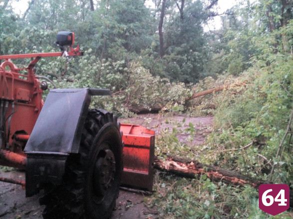 В Саратовской области ураган повалил 132 дерева