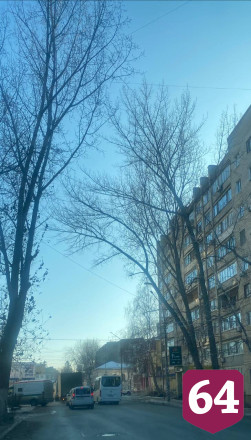 Жители Энгельса опасаются падения дерева на дорогу
