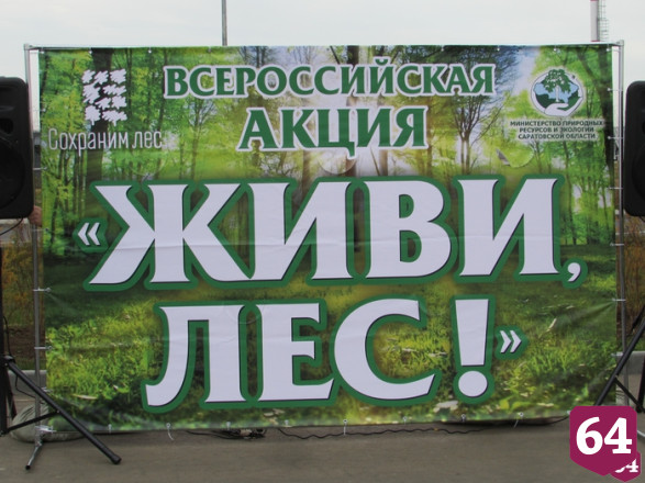 Экомарафон «Живи, лес!» поддержали более 1500 саратовцев