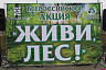 Экомарафон «Живи, лес!» поддержали более 1500 саратовцев