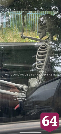 Саратовец возит скелет на пассажирском сиденье автомобиля