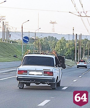 Саратовцев удивила лошадь в салоне автомобиля 