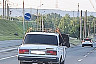 Саратовцев удивила лошадь в салоне автомобиля 
