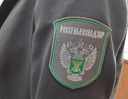 Россельхознадзор вынес почти 300 предостережений аграриям Саратовской области