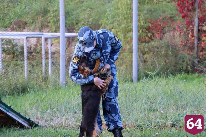 На службу в Чувашию отправили 8 щенков из Саратова 