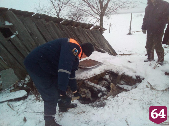 Спасатели вытащили провалившегося в погреб теленка