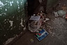 Горожанин показал подъезд из «преисподней» с мусором и крысами