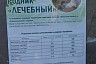 В Саратове благоустроили родник «Лечебный»