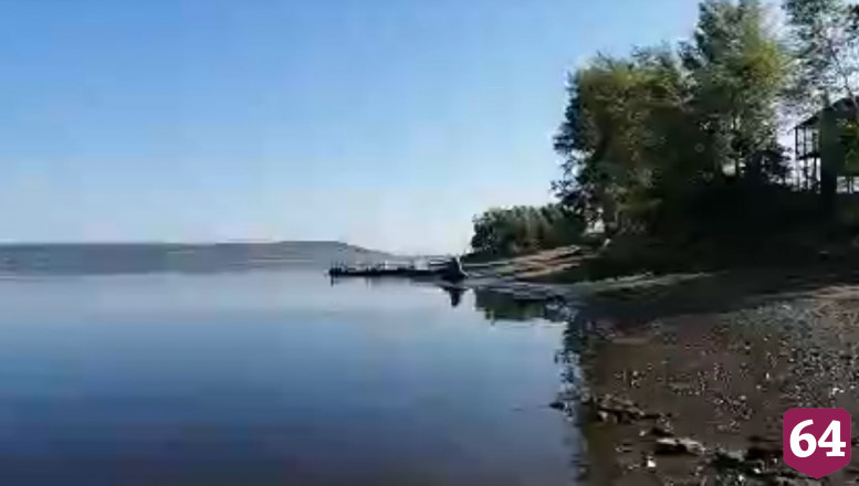 Берег Волги под Саратовом завалило мертвыми мальками и раками