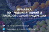 Ярмарка на Театральной площади будет работать ежедневно