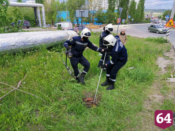 Саратовские спасатели вытащили упавшую в колодец собаку
