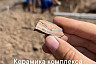 Археологи на раскопках в Саратове нашли якорь и черешок ножа