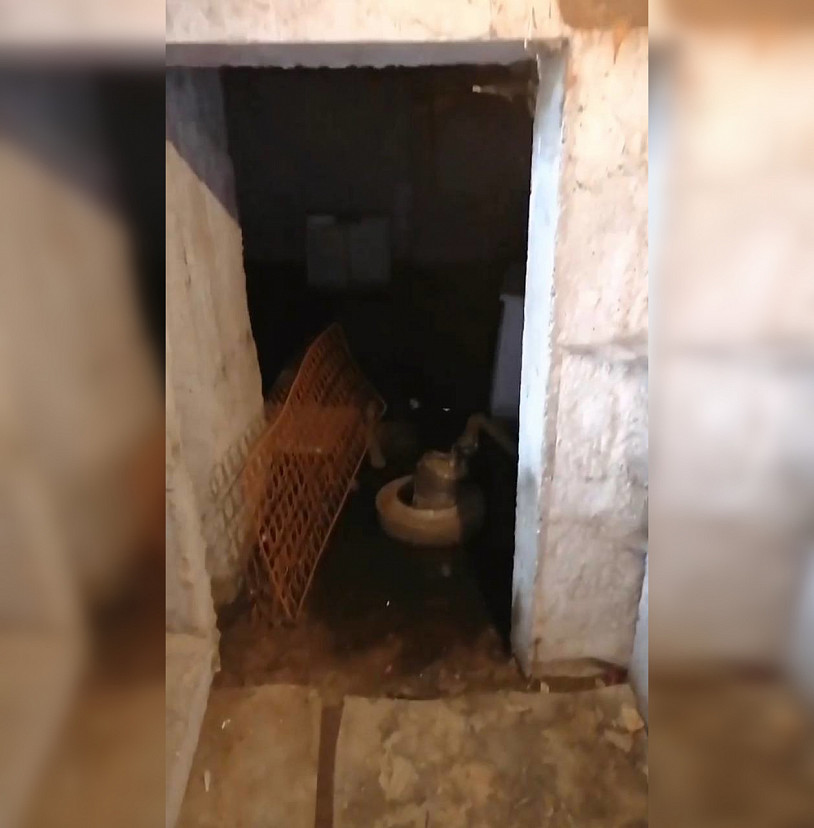 Саратовцы жалуются на зловоние и насекомых из затопленных подвалов