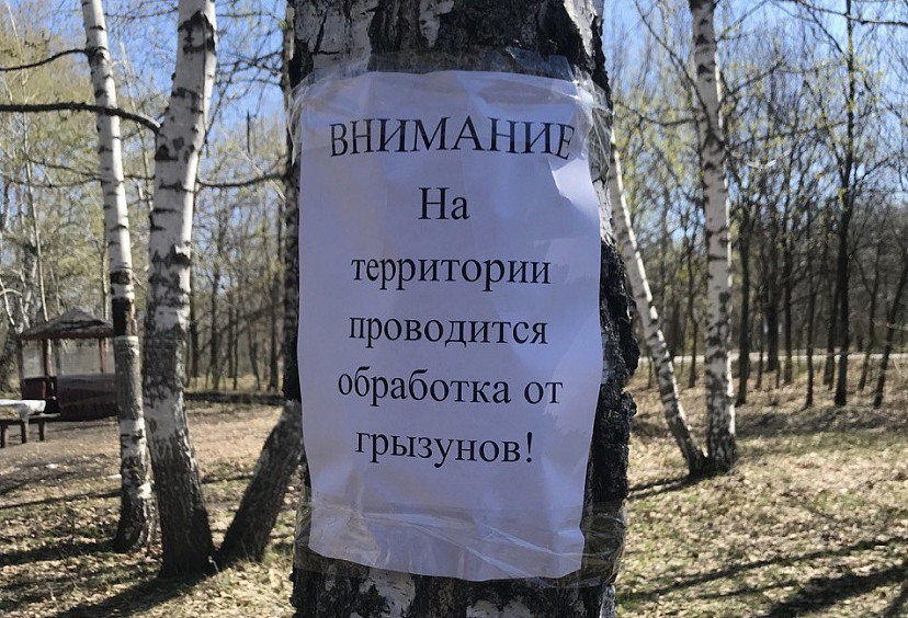 Любителям отдыхать на Кумысной поляне посоветовали чаще мыть руки 