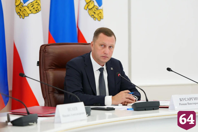Саратовский губернатор поручил усилить контроль за бездомными животными 