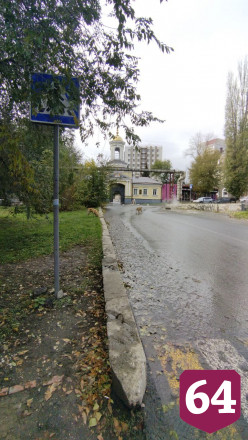 В районе Стрелки поселилась стая агрессивных собак