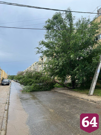 В Саратове деревья упали на автомобили и детскую площадку