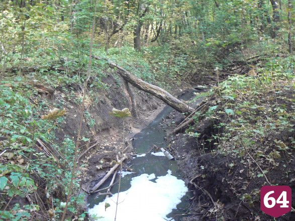В Саратове канализационные воды попали в реку