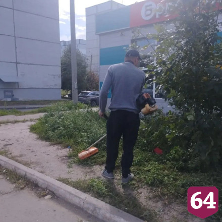 В Саратове на субботник вышли 7 тысяч человек