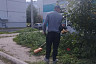В Саратове на субботник вышли 7 тысяч человек