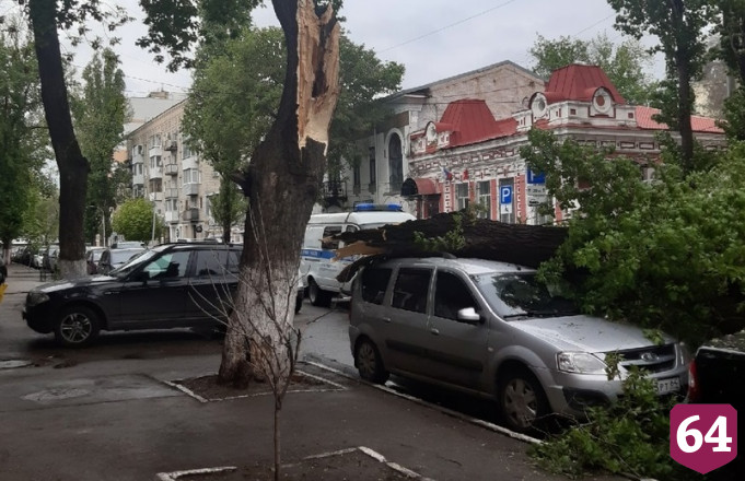 В центре Саратова дерево упало на машины и перегородило дорогу 