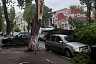 В центре Саратова дерево упало на машины и перегородило дорогу 