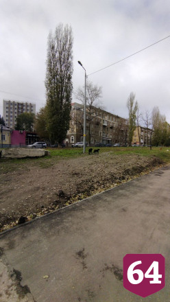 В районе Стрелки поселилась стая агрессивных собак