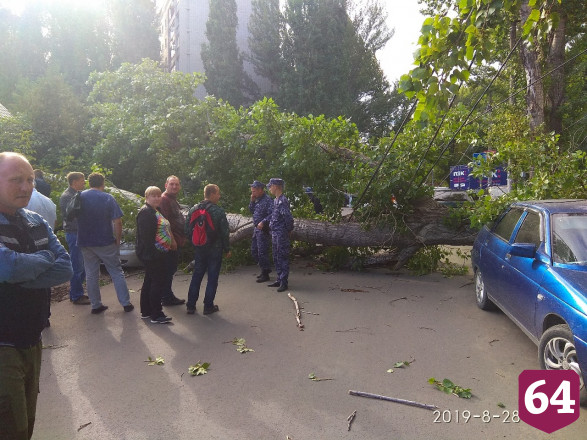 На Беговой дерево повисло на проводах и раздавило автомобиль
